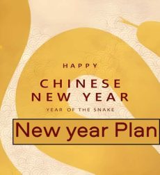 chinese-new-year-2025-vector-600nw-2538245523 chinese-new-year-2025-vector-600nw-2538245523