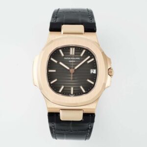 Nautilus 5711 40mm RG/LE Grey Dial DDF DD330(Gain Weight)